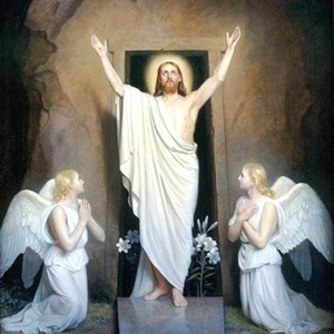 Lee más sobre el artículo CC53 Animo, he vencido al mundo